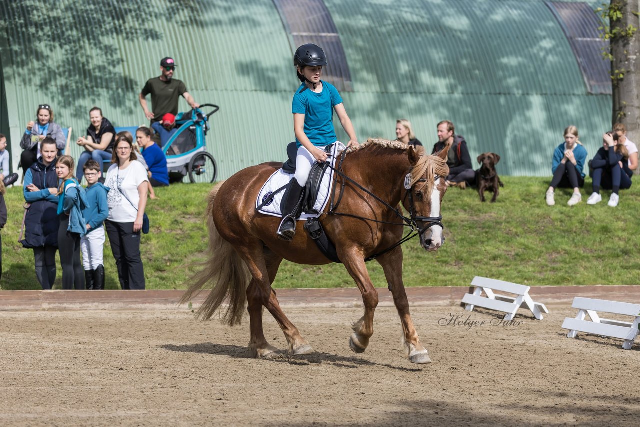 Bild 77 - Pony Akademie Turnier